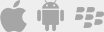 Mobile Web App